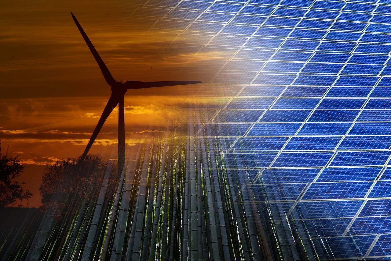 Studiu Deloitte: Noi locuri de muncă generate de tranziția spre economia verde