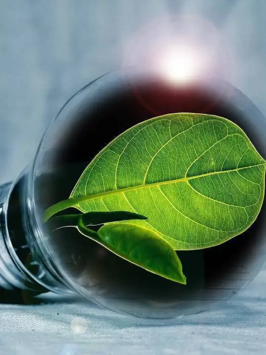 Energie verde (sursa: Pixabay)