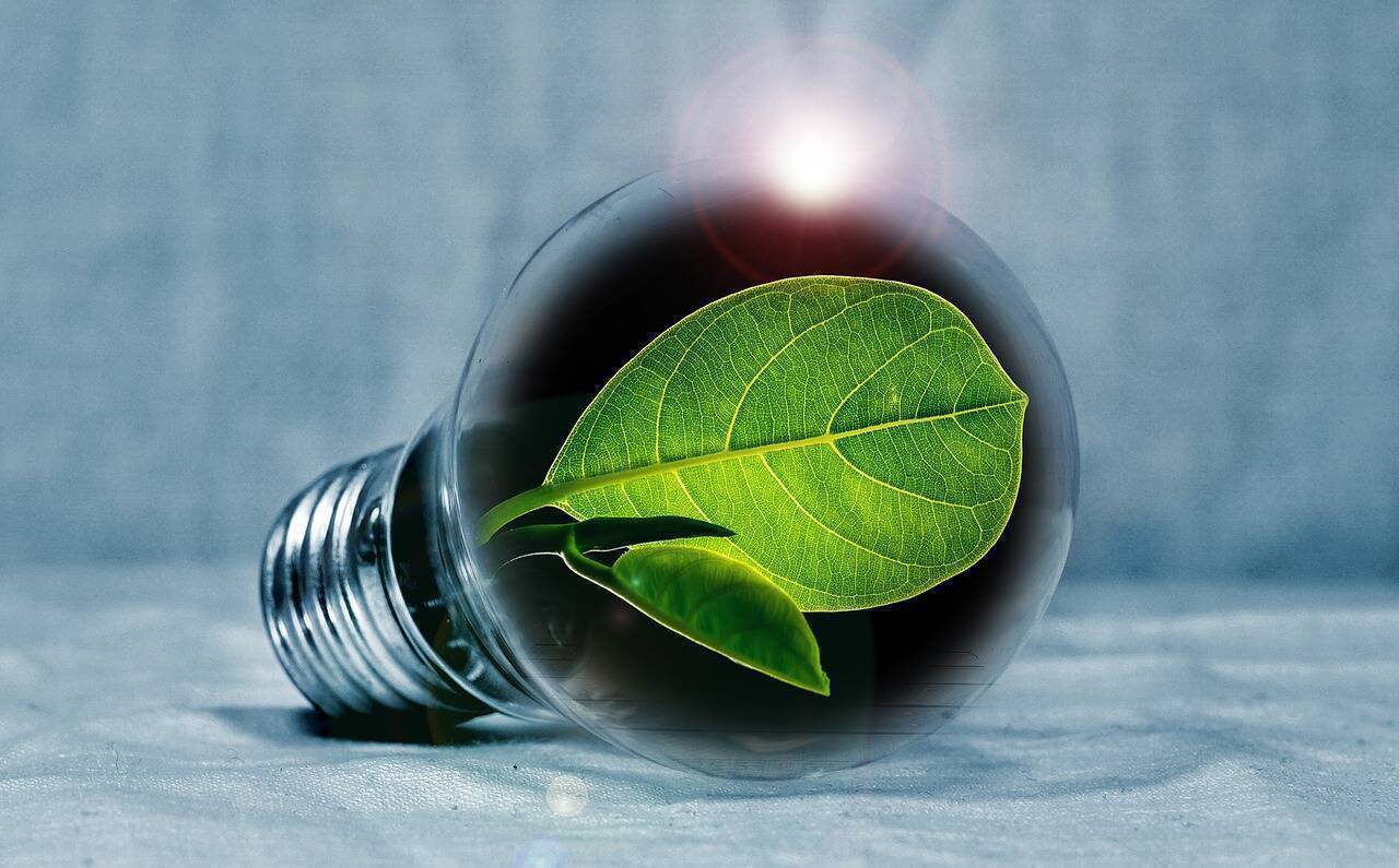 Comunitățile de energie și comerțul peer-to-peer, viitorul energetic descentralizat al Europei