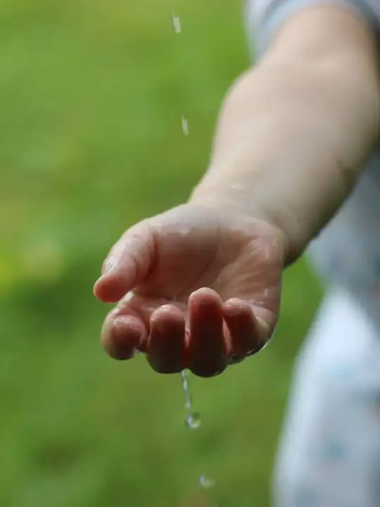 Sustenabilitate, schimbari climatice - sursa foto: Pixabay