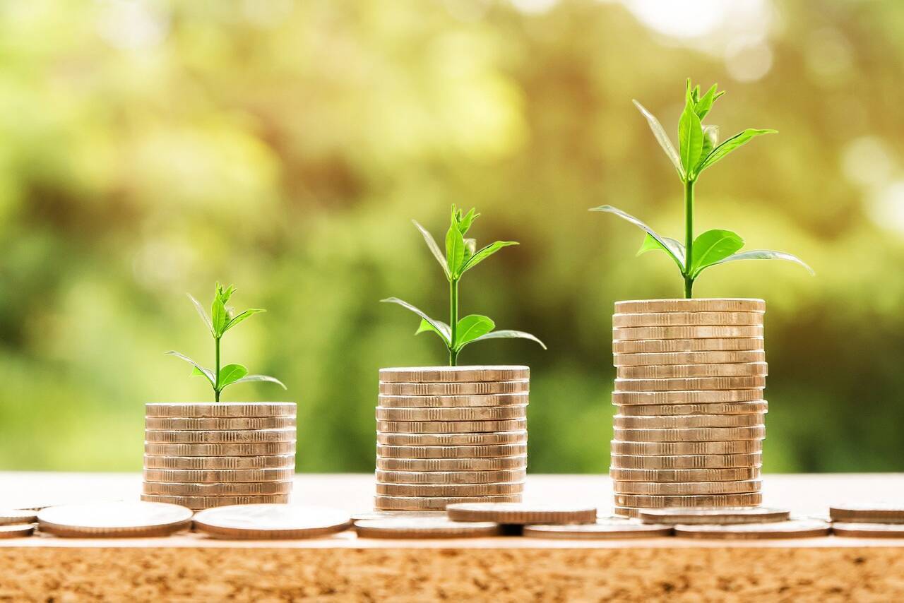 România a lansat o emisiune de obligațiuni verzi în Japonia pentru a finanța combaterea schimbărilor climatice