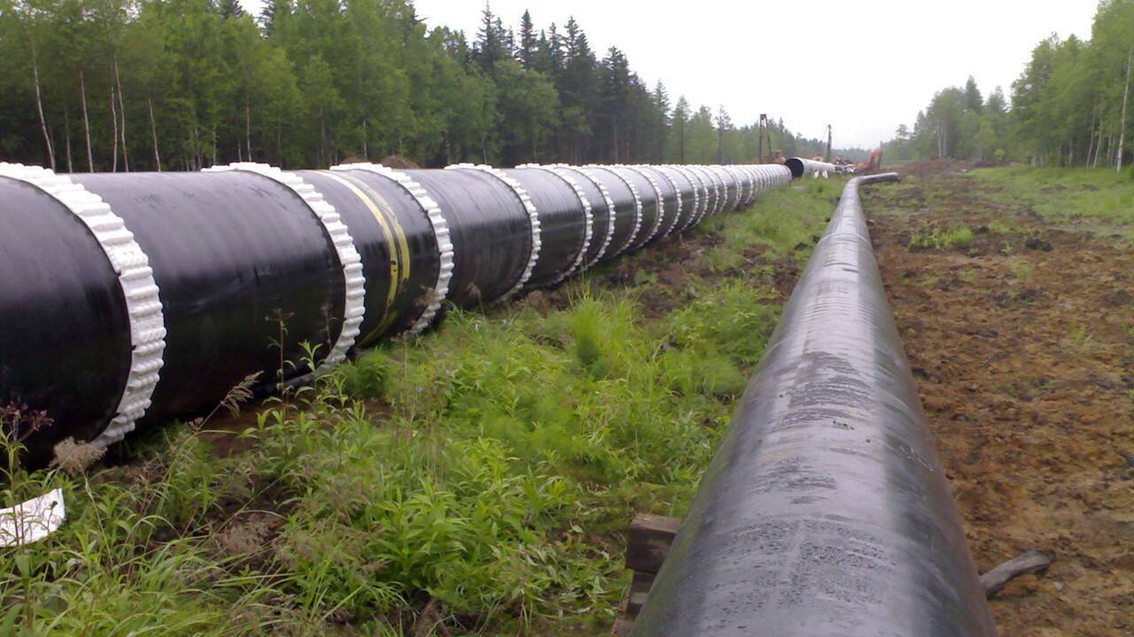 Analiză GDR // Mitul autarhiei. De ce o piață liberă este esențială pentru asigurarea securității energetice