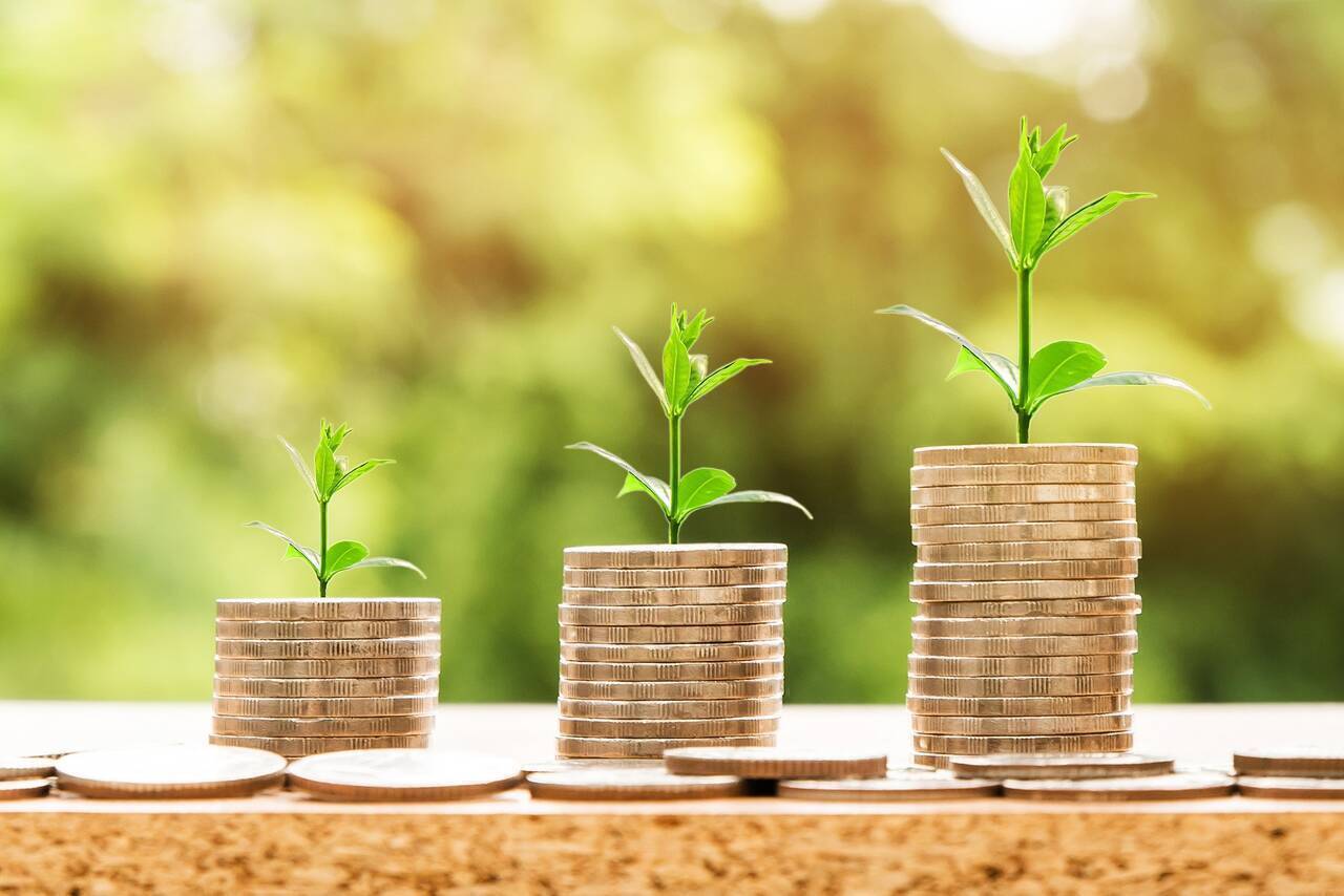 România intră în programul InvestEU al BERD pentru finanțarea tranziției verzi
