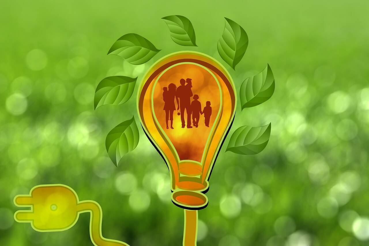 Studiu EY: Cât sunt dispuși consumatorii de energie să investească în sustenabilitate