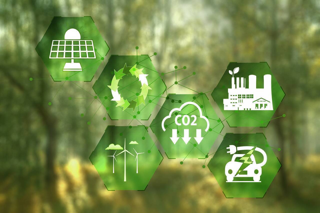 Dezbatere NewsEnergy: Rolul mediului rural în tranziția verde și combaterea schimbărilor climatice