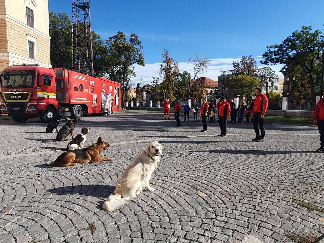 Zilele Prevenirii Dezastrelor: Cât de pregătiți suntem pentru a preîntâmpina efectele lor?
