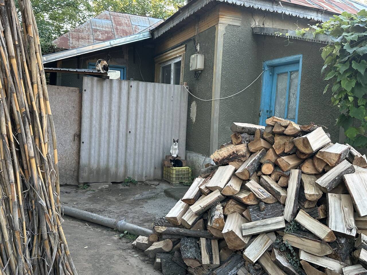 Dumitru Chisăliță: Tranziția energetică va adânci sărăcia din mediul rural românesc