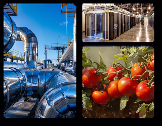 Green Tech International – proiect de sere hidroponice în România, alimentate cu energie geotermală